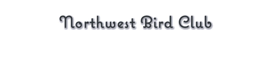Northwest Bird Club